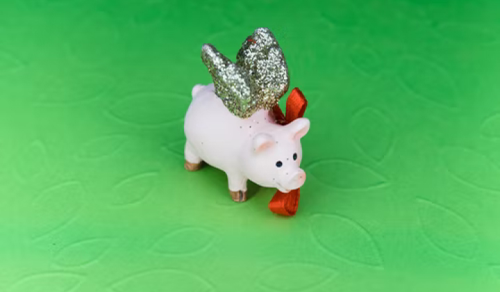 Spending Wisely: How SMEs can future-proof their tech investments 